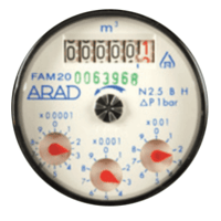 Arad Woltman Flexible Axis Meter, Model FAM